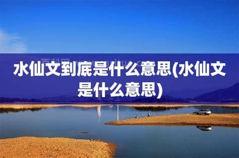 水仙文 意思|水仙文什么意思